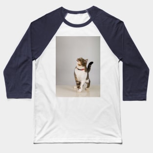 curious cat looking up Baseball T-Shirt